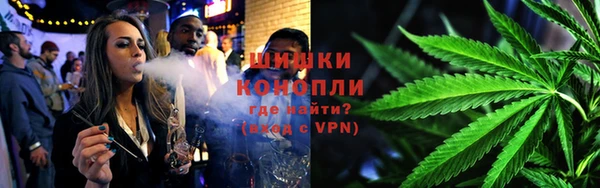 дурь Белокуриха
